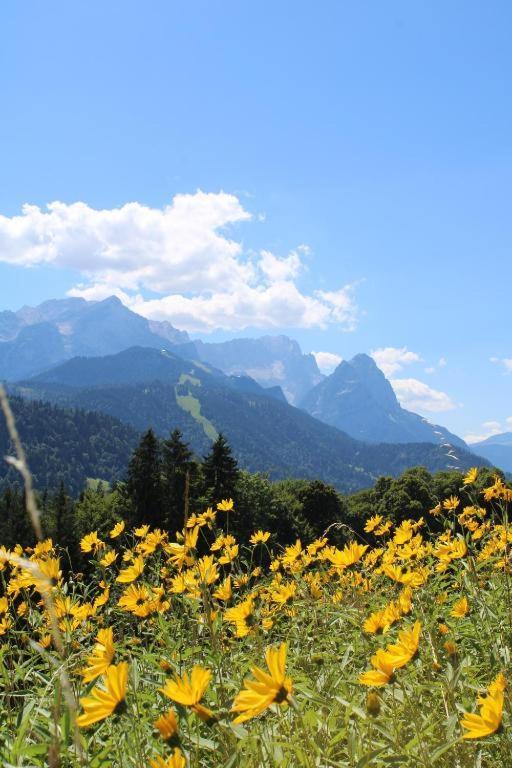 Pfeiffer Alm Am Sonnenhang Mit Blick Auf Die Zugspitze Garmisch-Partenkirchen Exterior foto